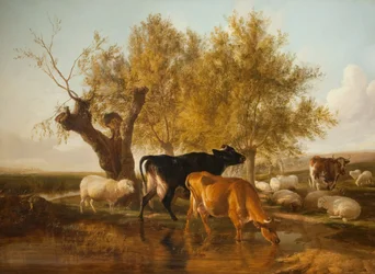 Canterbury Meadows, kväll